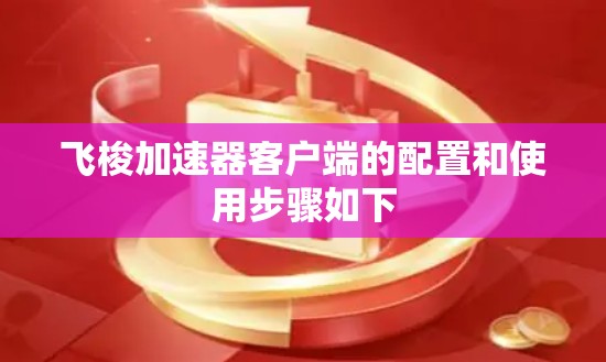 飞梭加速器客户端的配置和使用步骤如下