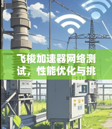 飞梭加速器网络测试，性能优化与挑战分析