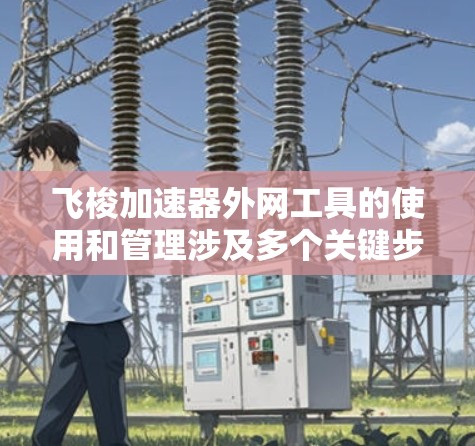 飞梭加速器外网工具的使用和管理涉及多个关键步骤，以下是详细的分步说明