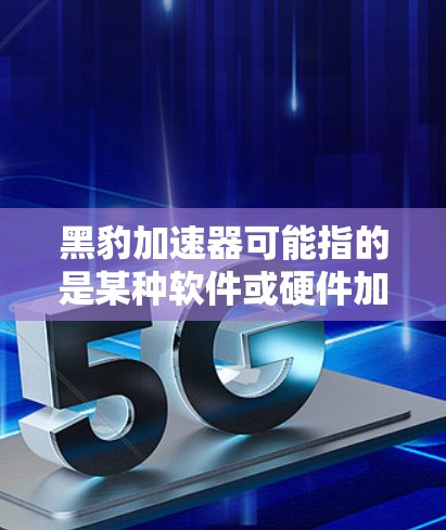 黑豹加速器可能指的是某种软件或硬件加速器，用于加速特定的计算任务或数据处理。海外服务器可能是指在国外运营的服务器资源。如果你指的是某个特定的加速器或技术，请提供更多信息，以便我能更好地帮助你