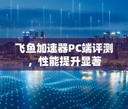 飞鱼加速器PC端评测，性能提升显著