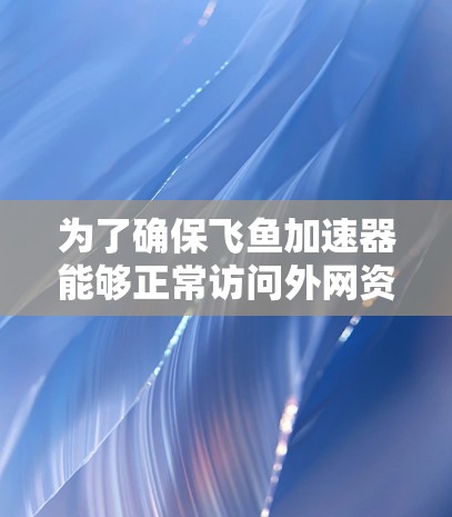 为了确保飞鱼加速器能够正常访问外网资源，请按照以下步骤进行检查和配置