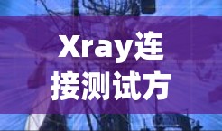 Xray连接测试方法与应用探讨