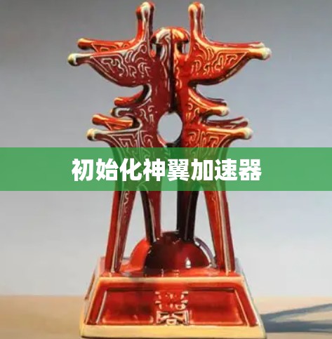 初始化神翼加速器