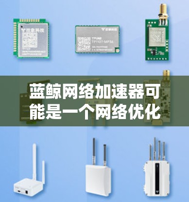 蓝鲸网络加速器可能是一个网络优化或加速工具，通常用于提高网络性能。要找到它的官网入口，通常可以通过以下步骤