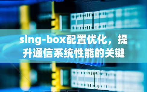 sing-box配置优化，提升通信系统性能的关键