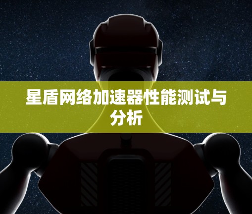 星盾网络加速器性能测试与分析
