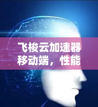 飞梭云加速器移动端，性能优化与数据传输革命