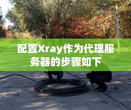 配置Xray作为代理服务器的步骤如下